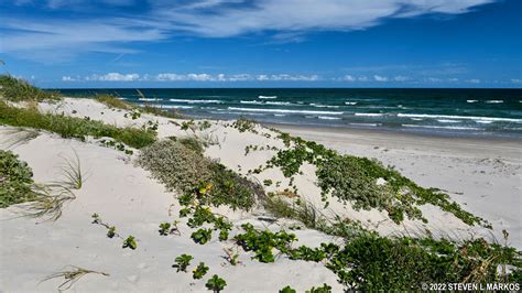 Padre island national seashore - Padre Island National Seashore, the longest stretch of undeveloped barrier island beach in the United States, is the perfect location for the ongoing establishment of a secondary nesting colony. Padre Island National Seashore holds 20-25 public releases of Kemp’s ridley hatchings each year and this is the most popular …
